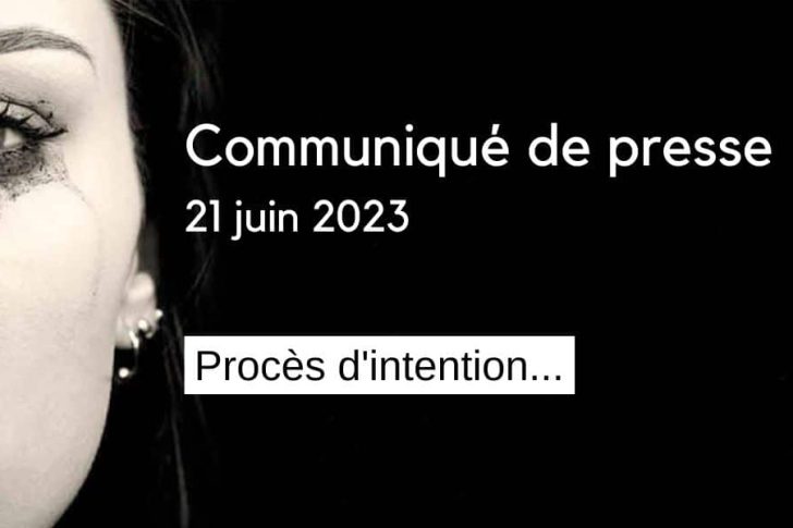 bannieres LSF ACTU sit (3)